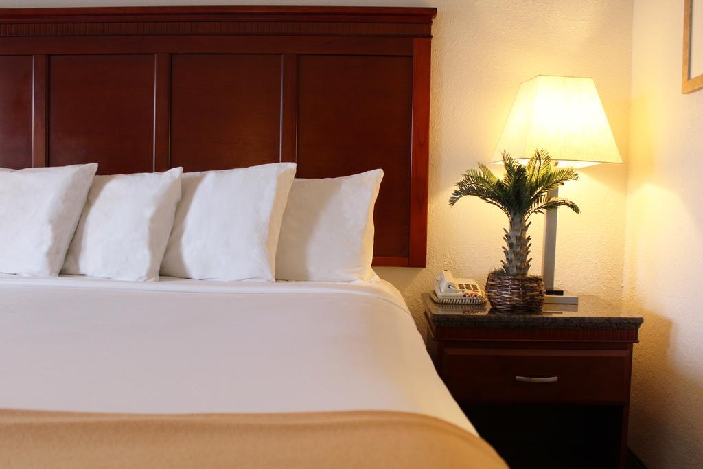 סנטה קלרה Rodeway Inn חדר תמונה