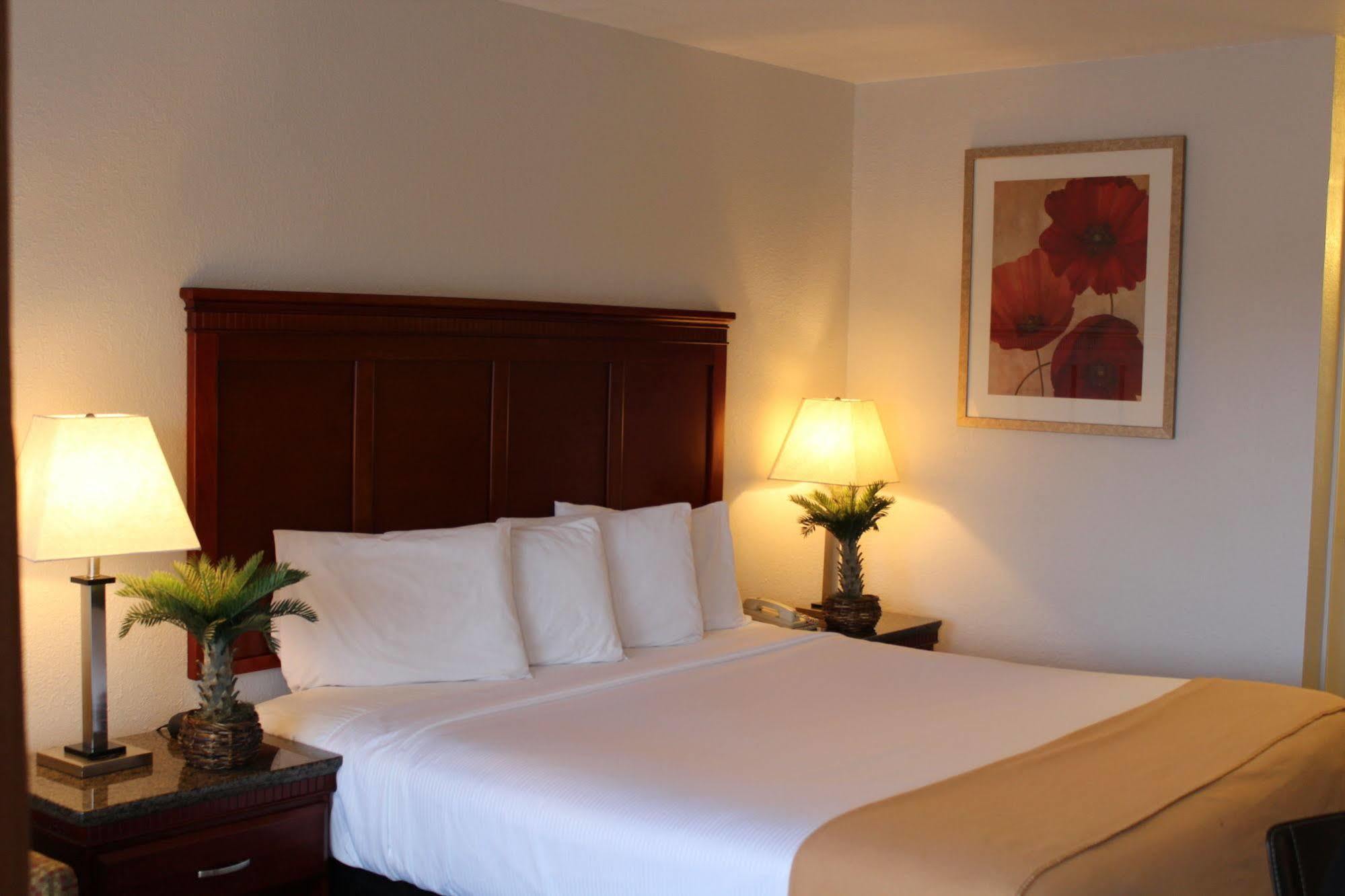 סנטה קלרה Rodeway Inn מראה חיצוני תמונה